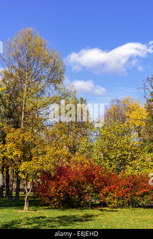 Ort, umgeben von Bäumen und Sträuchern mit roten, gelben und grünen Laub in einem ruhigen Stadtpark Frühherbst an einem sonnigen Tag Stockfoto