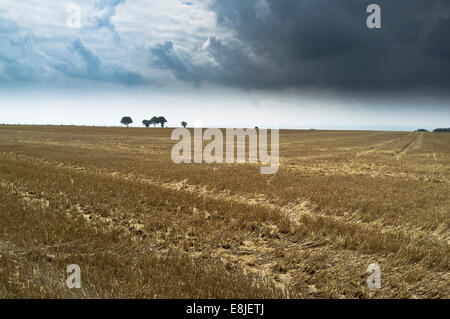Dh Stoppeln FELD UK dunkle Sturmwolken über leere Felder in England schwarze Wolke Stockfoto