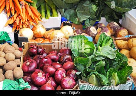 Eine Auswahl an frisches rohes Gemüse einschließlich, grüner Kohl, Schweden, Karotten, rote Zwiebeln, weiße Zwiebeln, Lauch und Kartoffeln. Stockfoto