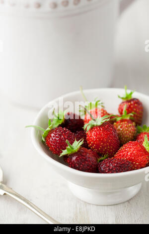 Homegrown Alpine Erdbeeren in Schüssel Stockfoto