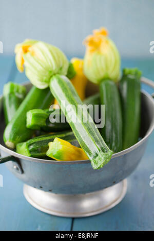 Homegrown Zucchini in Sieb Stockfoto