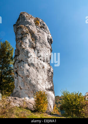 Kalkstein-Rock-Formation namens Keule des Herkules oder Maczuga Herkulesa, Pieskowa Skala in der Gegend von Krakau-Czestochowa Upla Stockfoto