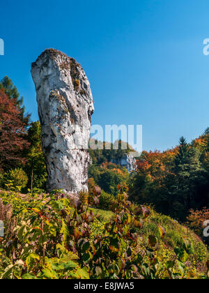 Kalkstein-Rock-Formation namens Keule des Herkules oder Maczuga Herkulesa, Pieskowa Skala Stockfoto