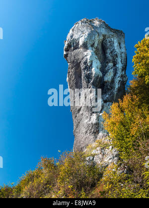 Kalkstein-Rock-Formation namens Keule des Herkules oder Maczuga Herkulesa, Pieskowa Skala Stockfoto