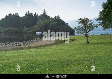 dh DERWENT WATER LAKE DISTRICT Mann und Hund entspannen am See Stockfoto