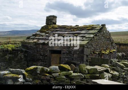 Stein Schafe Falten in den Yorkshire Dales Stockfoto