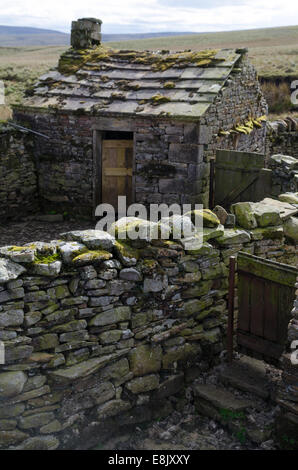 Stein Schafe Falten in den Yorkshire Dales Stockfoto