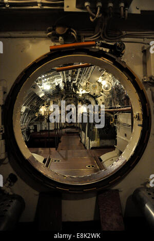 Estland, Tallinn, Kalamaja Bezirk, Wasserflugzeug Hafenmuseum Stockfoto