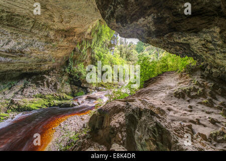 Neuseeland, Südinsel, Kahurangi National Park, Oparara Bogen (großformatige Größen erhältlich) Stockfoto