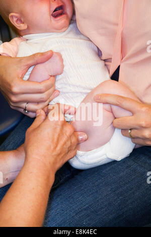 DTap-IPV Hib & PCV Immunisierung / Impfung / jab / aus einer Spritze in 8 / 9 acht / neun Wochen alten Baby Oberschenkel / Bein Stockfoto