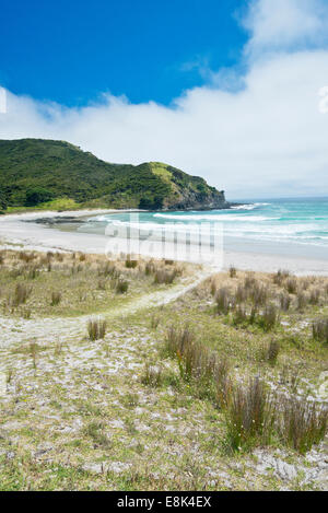 Neuseeland, Nordinsel, Cape Reinga, Tapotupotu Bay (großformatige Größen erhältlich) Stockfoto