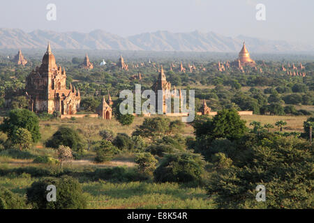 Tempel zu fangen das Abendlicht in Bagan, Birma (Myanmar) Stockfoto