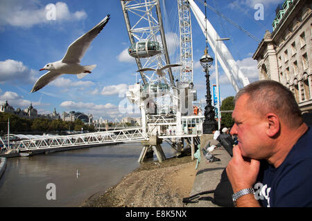 Hungrige Möwen Schlag vorbei an die Touristen-Köpfe in der Nähe des London Eye. Der South Bank, London, UK. Stockfoto