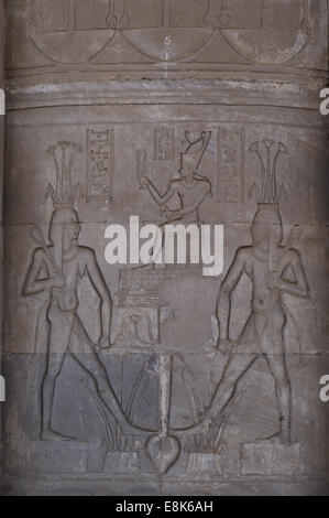 Ägyptische Kunst. Dendera. Hathor Tempel. Relief zeigt den Gott zufrieden mit Seerosen und Papyrus, obere beizutreten und Unterägypten. Stockfoto