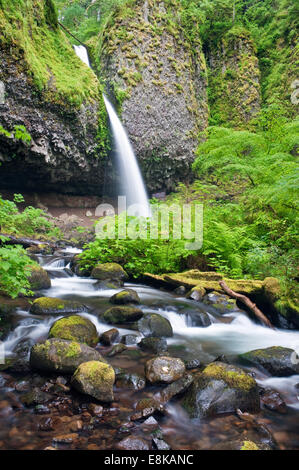 USA, Oregon, Columbia River Gorge, Pferdeschwanz fällt. Stockfoto