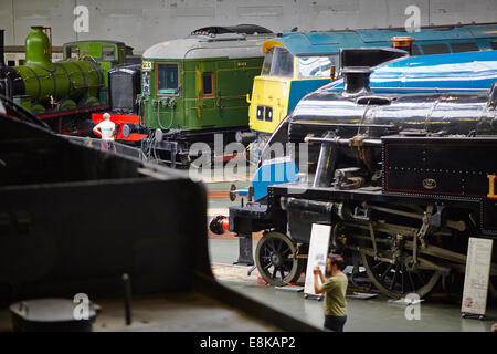 Stockente und andere auf dem Display in der großen Halle National Railway Museum in York Yorkshire UK Stockfoto