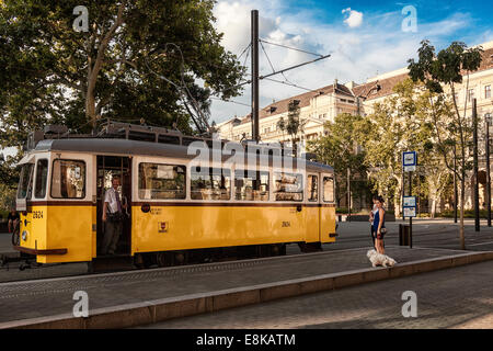 Straßenbahn-Fahrer an der Tür von einer Straßenbahn, Lajos Kossuth Platz, Budapest, Ungarn Stockfoto