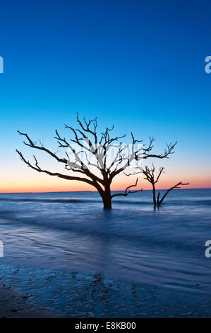 USA, South Carolina, Edisto Island, Botany Bay Boneyard Strand Dawn. Stockfoto