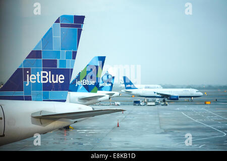 New York City NYC, JFK Airport Jet Blue Flugzeuge an Klemme 5 Stockfoto