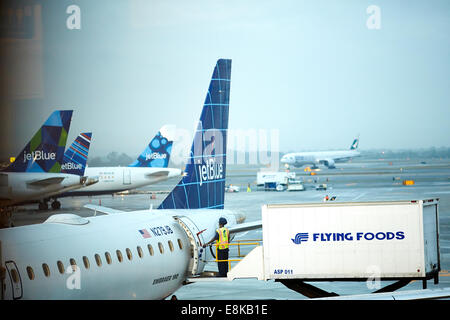 New York City NYC, JFK Airport Jet Blue Flugzeuge an Klemme 5 geladen mit Mahlzeiten aus Lebensmitteln fliegen Stockfoto