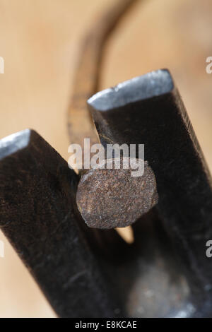 Nahaufnahme eines Hammers Zeichnung aus einem rostigen Nagel. Stockfoto