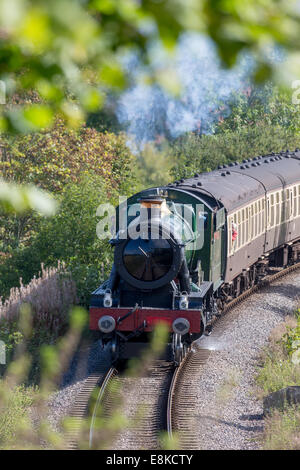 6960 Raveningham Halle Dampfeisenbahn an der West Somerset Railway ...