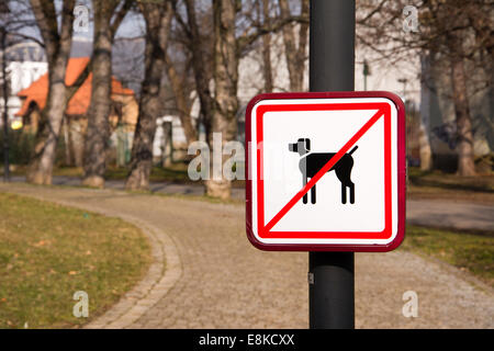 Keine Spur von Hunden im park Stockfoto