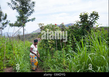 Ruanda, NYAMAGABE: Marie Mukadera lebt in einem der ärmsten Viertel von Ruanda. Sie hat ein kleines Haus und ein Stück Land. Stockfoto