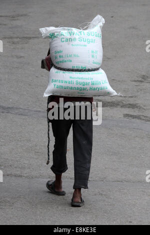 Ein Mann mit einer schweren Tasche des Zuckers in der indischen Stadt Shimla Stockfoto