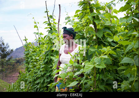 Ruanda, NYAMAGABE: Marie Mukadera lebt in einem der ärmsten Viertel von Ruanda. Sie hat ein kleines Haus und ein Stück Land. Stockfoto