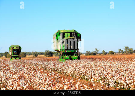 Zwei John Deere Baumwolle Erntemaschinen. Narrabri, westlichen Plains New South Wales, Australien Stockfoto