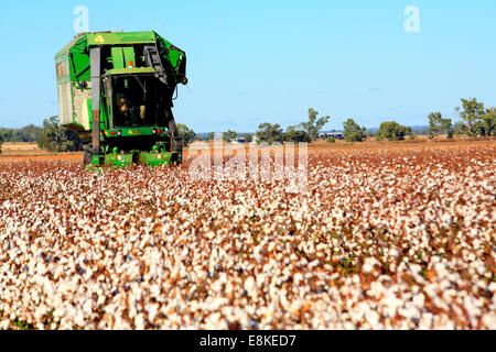 ein John Deere Baumwolle Erntemaschine. Narrabri, westlichen Plains New South Wales, Australien Stockfoto