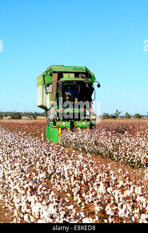 ein John Deere Baumwolle Erntemaschine. Narrabri, westlichen Plains New South Wales, Australien Stockfoto