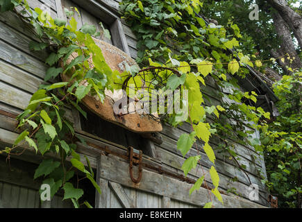 alten Basketballkorb auf Scheune Stockfoto