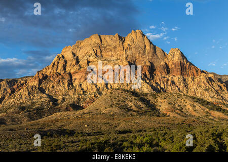 Morgendämmerung auf Mt Wilson in Red Rock National Conservation Area in der Nähe von Las Vegas, Nevada. Stockfoto