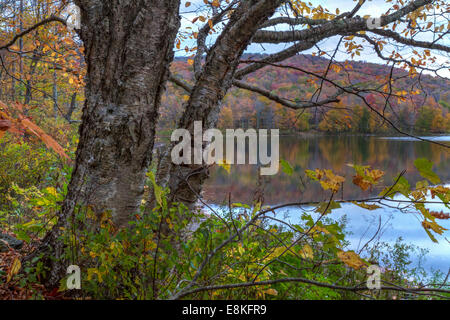 Gelbes Blatt Silhouette in der Dämmerung gegen Big Pond und bunten Bäumen in den Catskills Mountains Upstate New York. Stockfoto