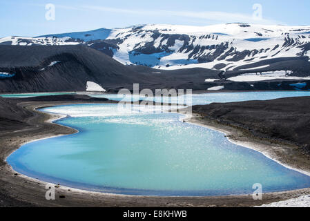 Deception Island, Antarktis Stockfoto