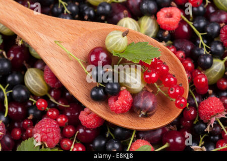 Beeren in einem Holzlöffel auf Beeren Hintergrund. Close-up. (Schwarze Johannisbeere; Rote Johannisbeere; Kirsche; Stachelbeere; Himbeere). Stockfoto