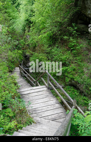 Holztreppe, Marienschlucht Schlucht, Bodanrück, Baden-Württemberg, Deutschland Stockfoto