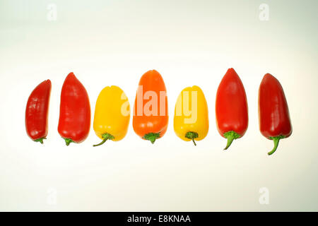 Rot, orange und gelbe Paprika Stockfoto