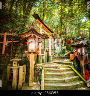 Fushimi Inari-Taisha Schrein Trail, Kyoto, Japan. Stockfoto