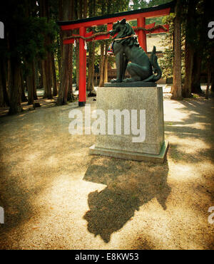 Berg Koyasan, UNESCO-Weltkulturerbe, Japan. Stockfoto