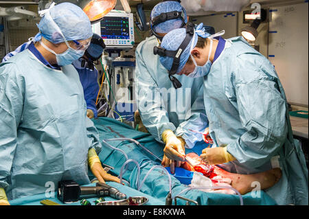 RFA Argus, der Royal Navy primäre Casualty Rezeption, Krankenhaus und Flugzeuge unterstützen Schiff. Stockfoto