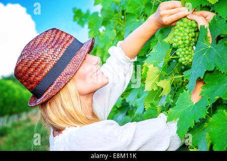 Seite Ansicht Bildniss glücklich niedliche junge Winzer Kommissionierung großen Haufen von reifen Trauben, Hut, italienischen Weinproduktion Stockfoto