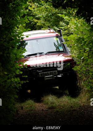 Land-Rover grünes Laning auf einem Maultierweg, Chettle, Dorset, Großbritannien Stockfoto