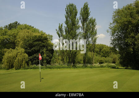 Blick auf das 14. Grün auf J H Taylor Course Golfclub Royal Mid Surrey Richmond Surrey England Stockfoto