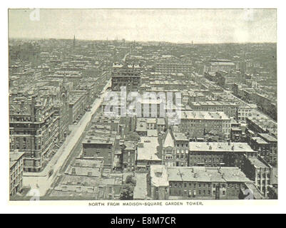 (King1893NYC) pg741 NORTH FROM MADISON SQUARE GARDEN TOWER Stockfoto