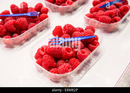 farbige rote Himbeeren essfertig Stockfoto