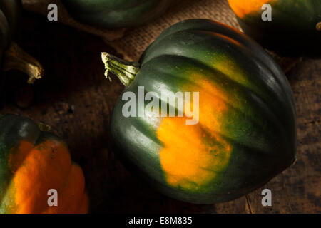 Rohe organische grün und Orange Acorn Squash Stockfoto