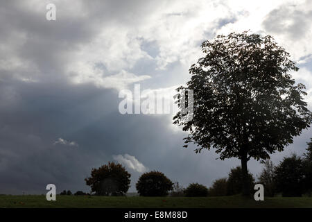 Denbies Weinberg, Dorking, Surrey, UK. 10. Oktober 2014. Die Sonne Strahlen von dramatischen Regenwolken füllen den Himmel über den Weinberg auf die Kreide Hügel der North Downs in Surrey. Bildnachweis: Julia Gavin UK/Alamy Live-Nachrichten Stockfoto